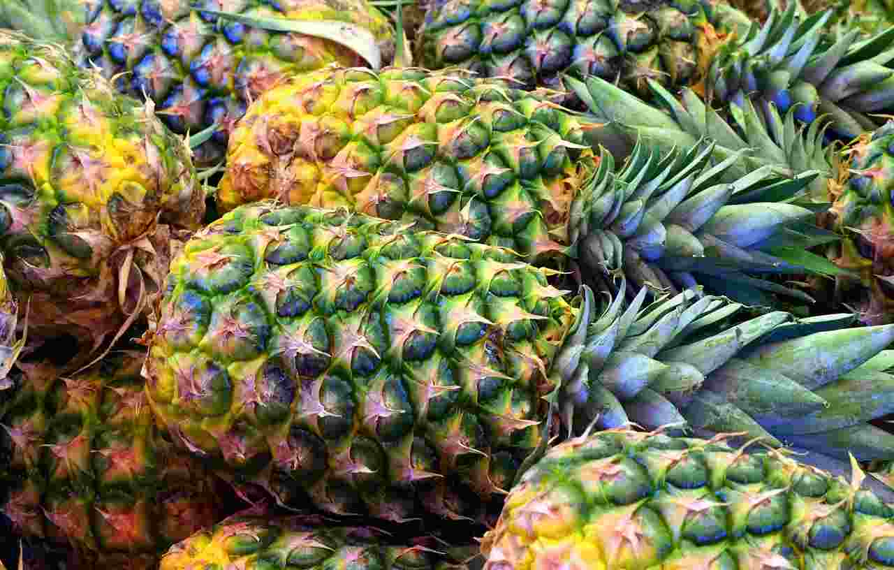 Ananas - Ifood.it (foto Pixabay)