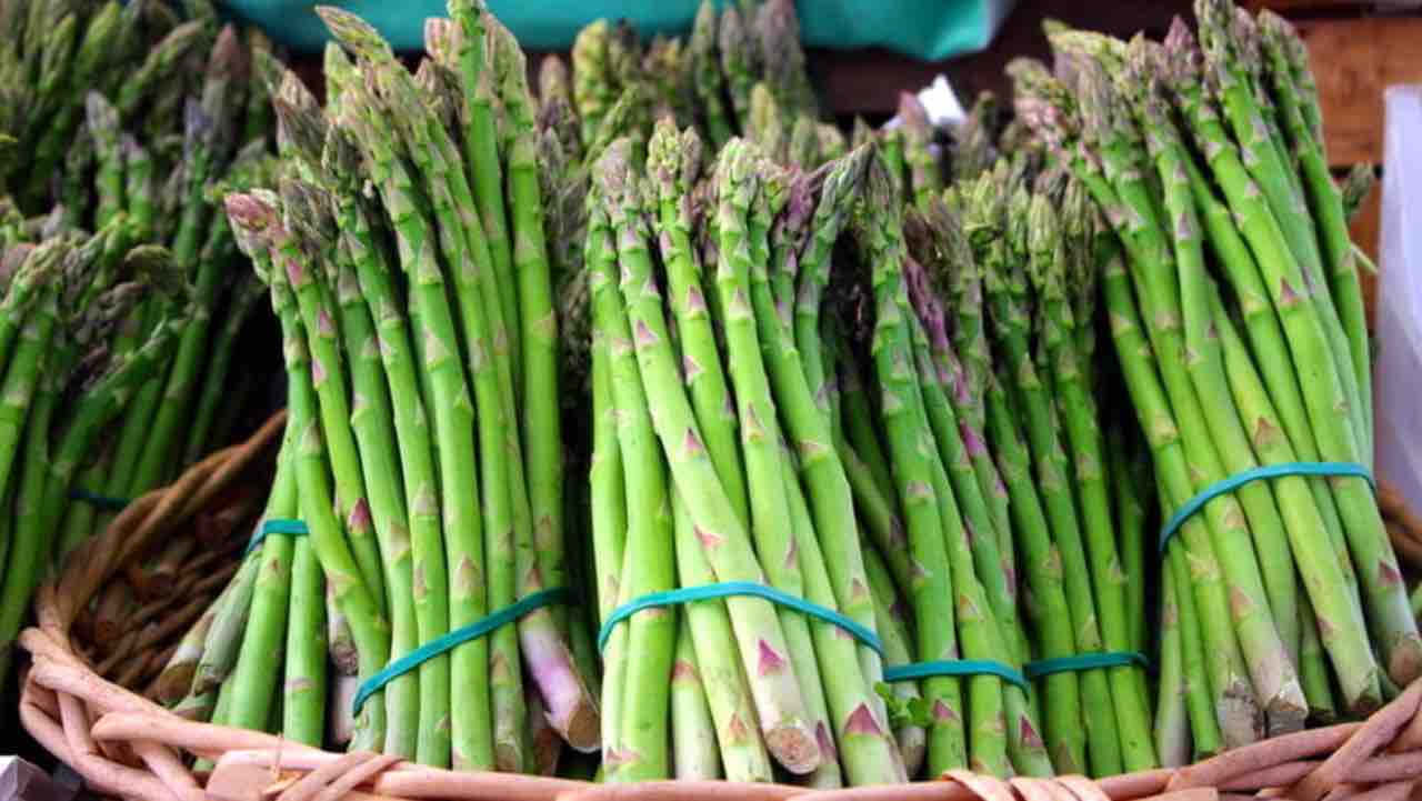 Asparagi