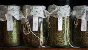Erbe aromatiche essiccate e conservate in barattoli di vetro - Ifood.it (foto Canva)