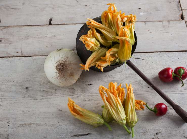 Fiori di zucca