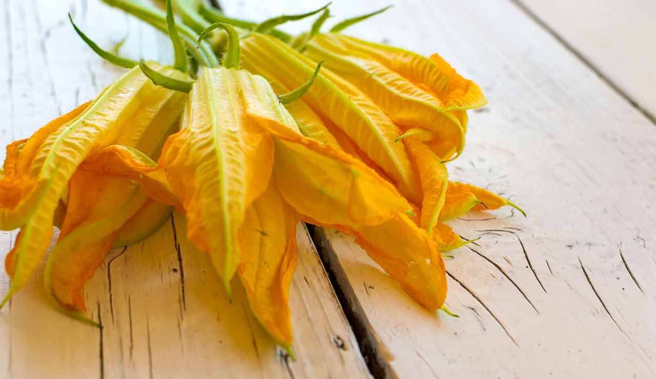 Fiori di zucca