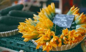 Fiori di zucca.