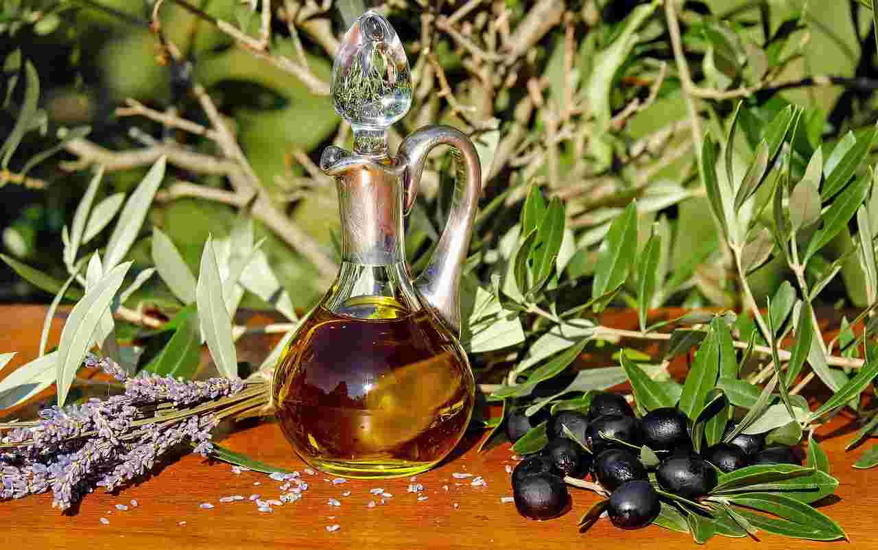 Olio, olive e ulivo - Ifood.it (foto Pixabay)