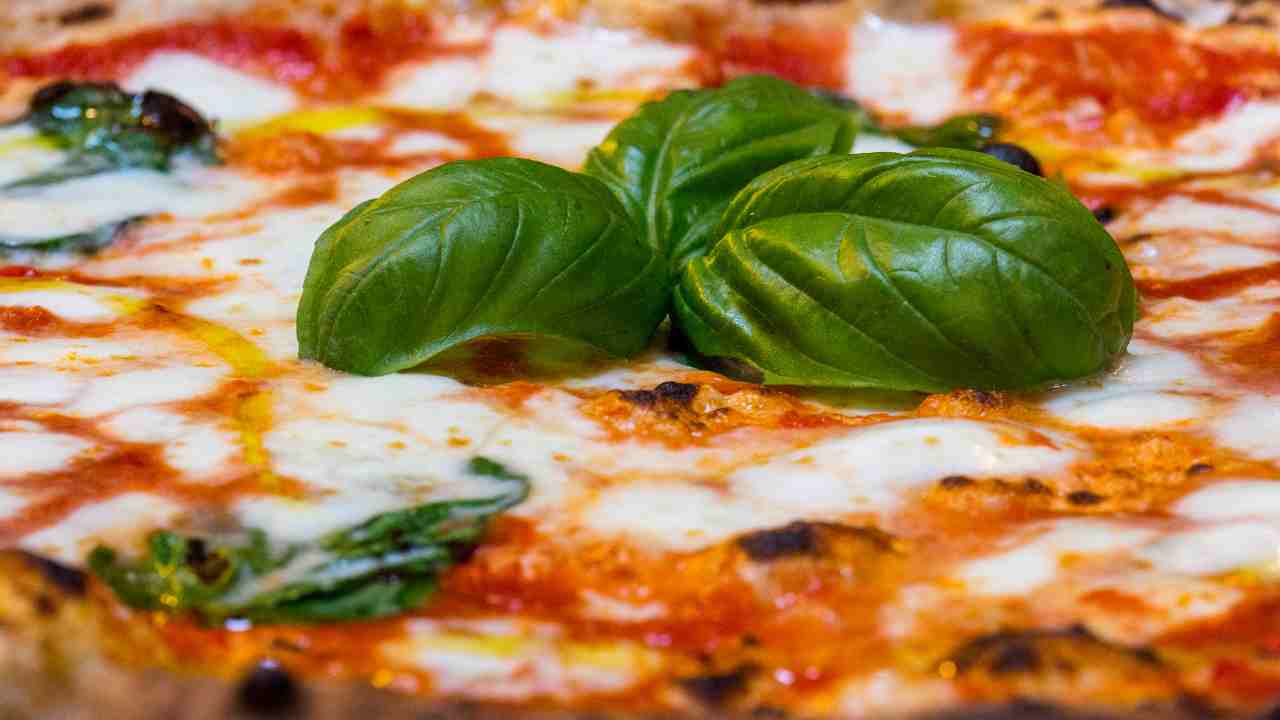 Pizza margherita