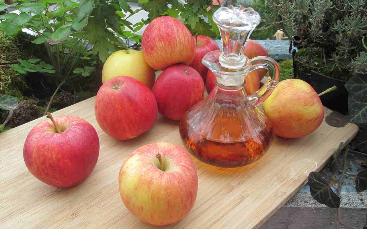 aceto di mele e dieta-ifood