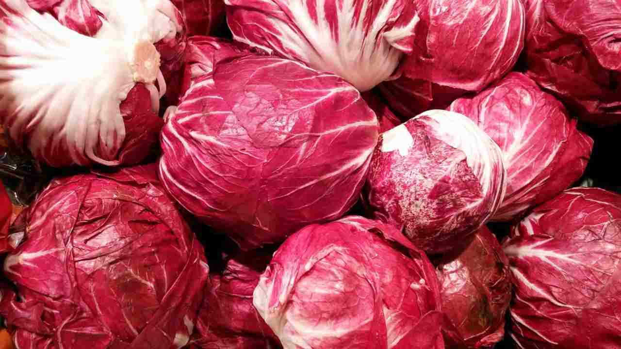 ricette con radicchio-ifood