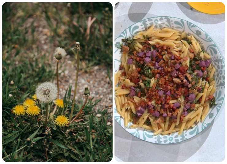 ricetta penne al tarassaco-ifood