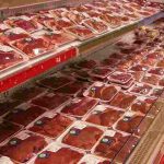 Banco della carne