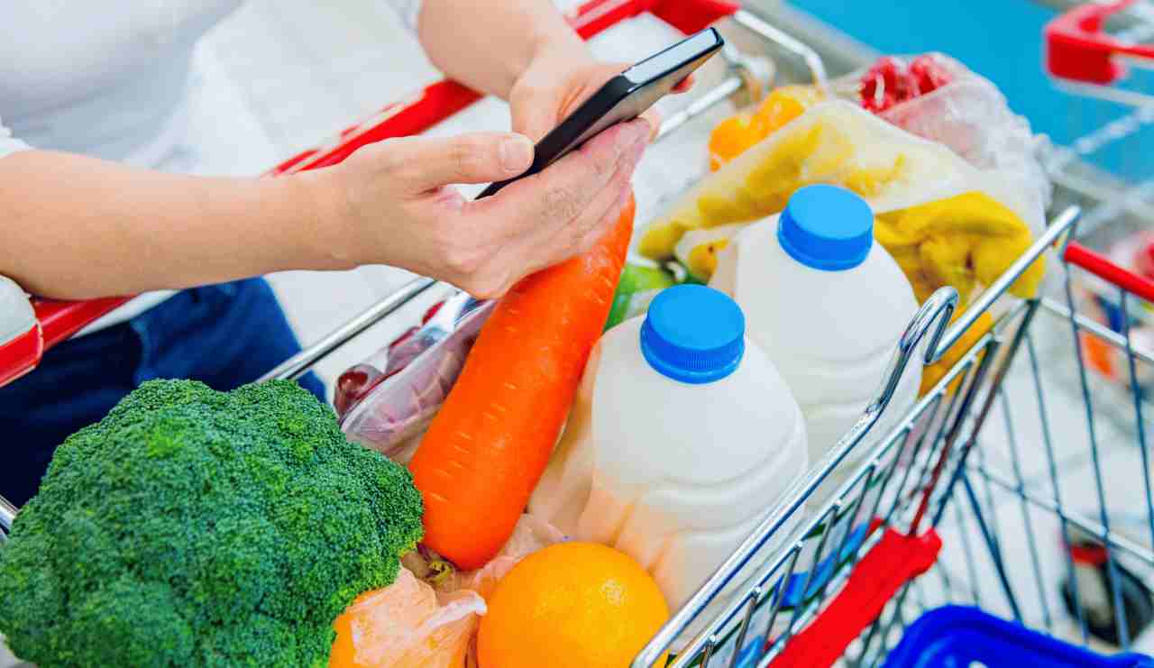 Controllare la app collegata al frigorifero mentre siamo al supermercato ci aiuta a fare una spesa oculata - iFood.it (foto Canva)