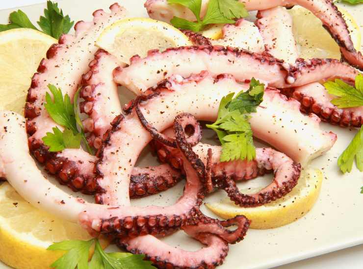 Polpo all'insalata