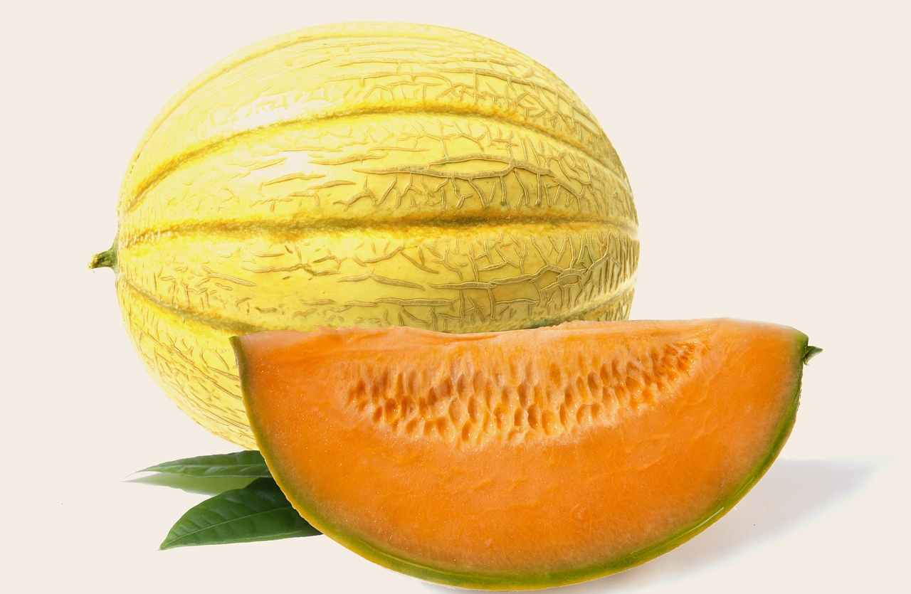 tagliare il melone-ifood