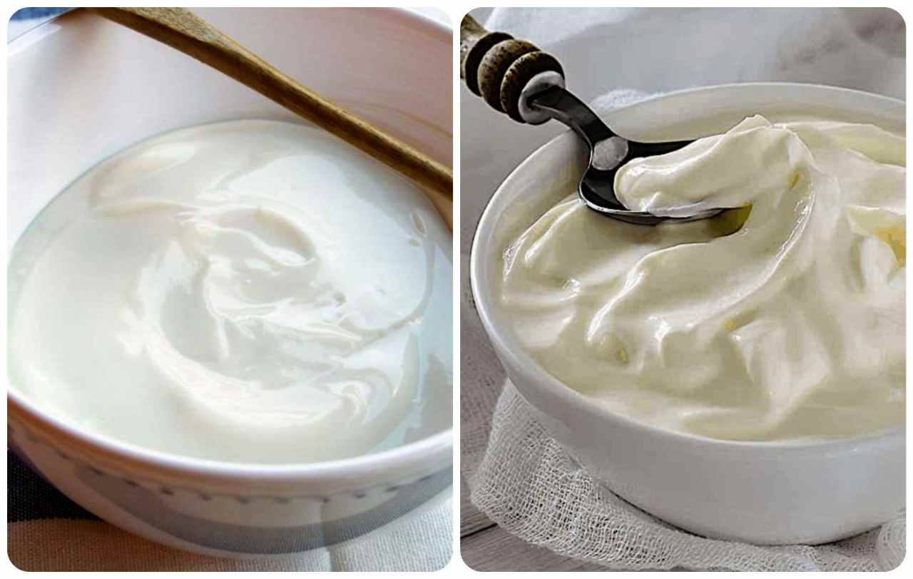 yogurt normale vs greco-ifood