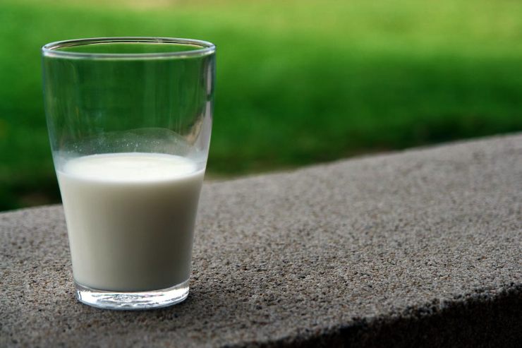 latte differenze e proprietà-ifood