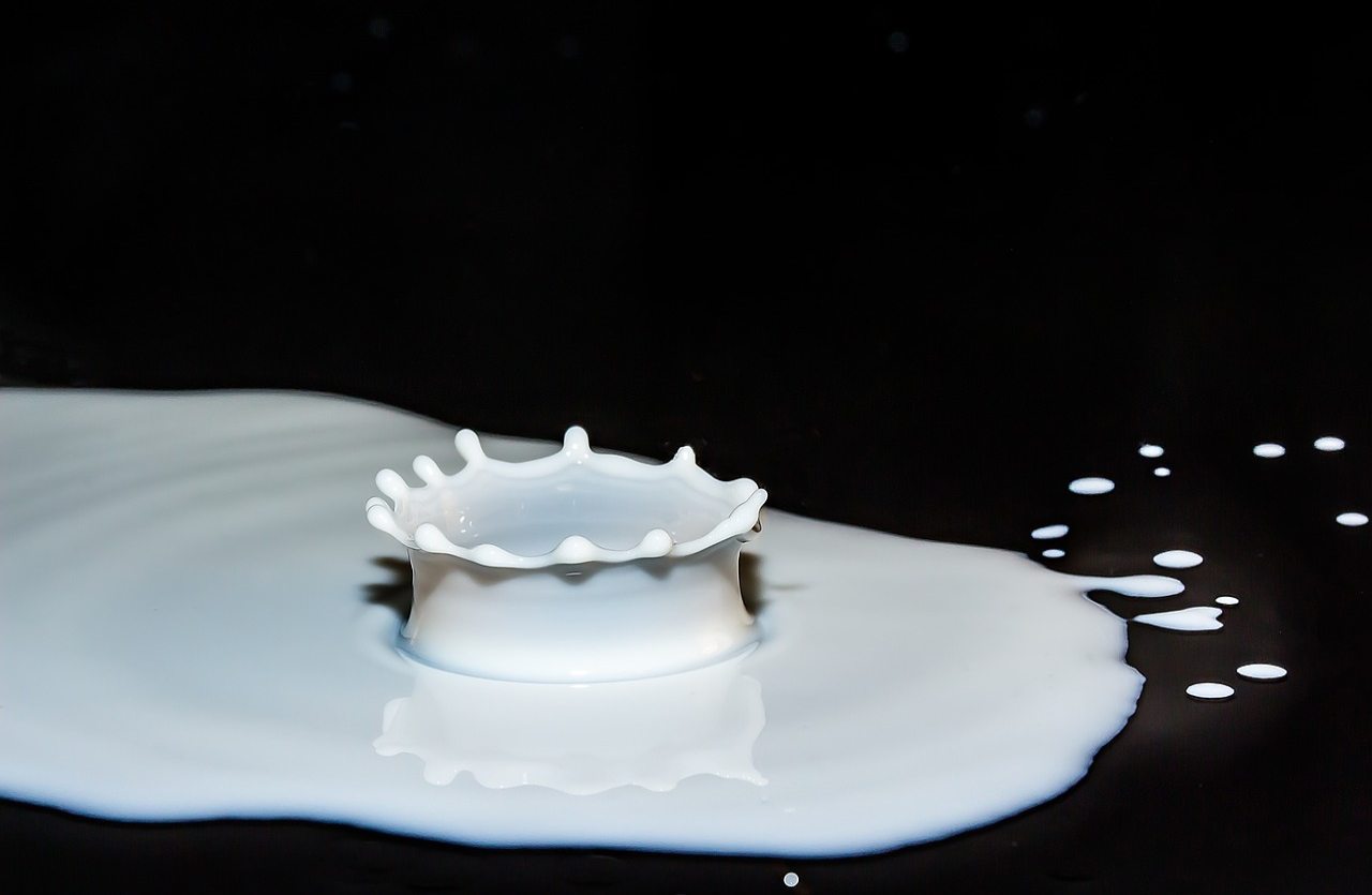 eliminare il lattosio-ifood