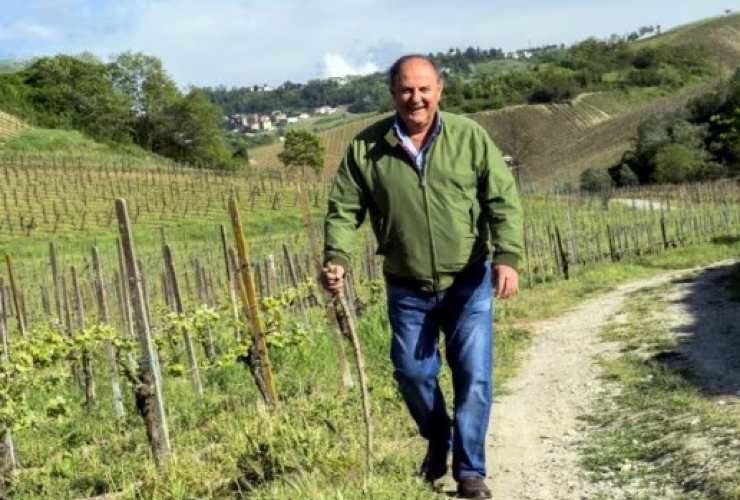 Quanto costa il vino prodotto da Gerry?
