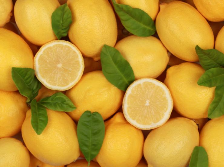 Limoni