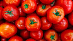 Pomodori