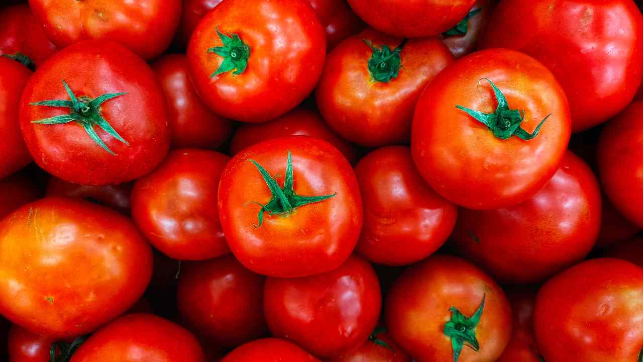 Pomodori