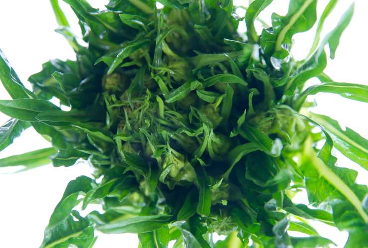 Questo cibo abbassa il colesterolo
