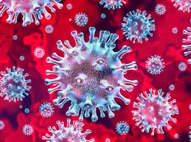 Coronavirus