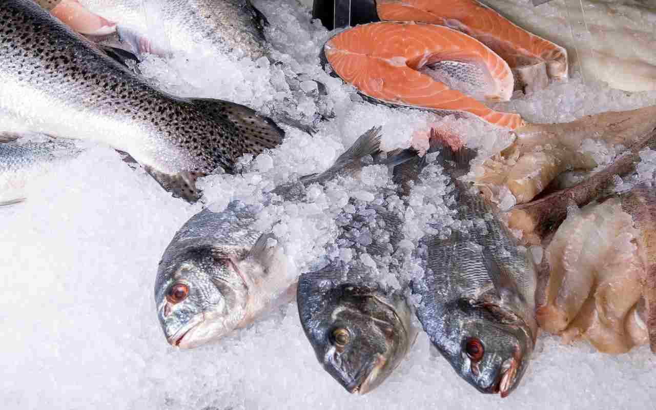 Mai scongelare il pesce così