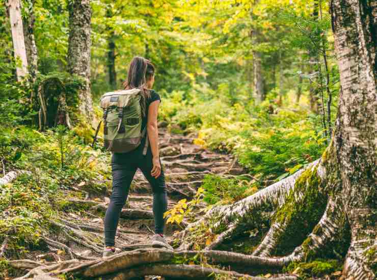 Trekking