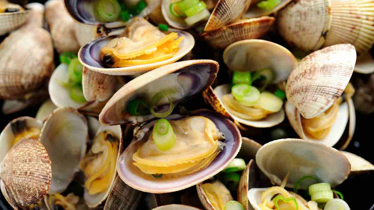 Vongole