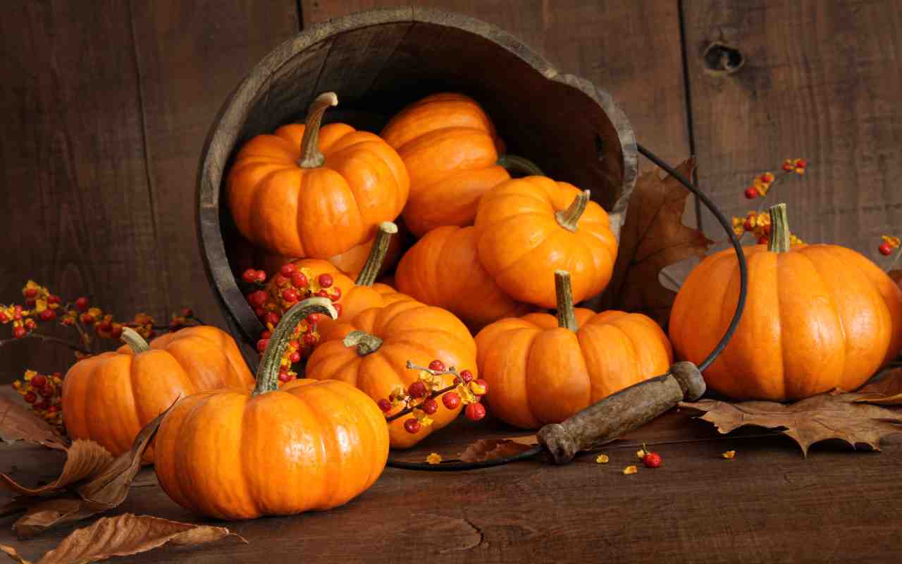 Cosa succede se esageri con il consumo della zucca?