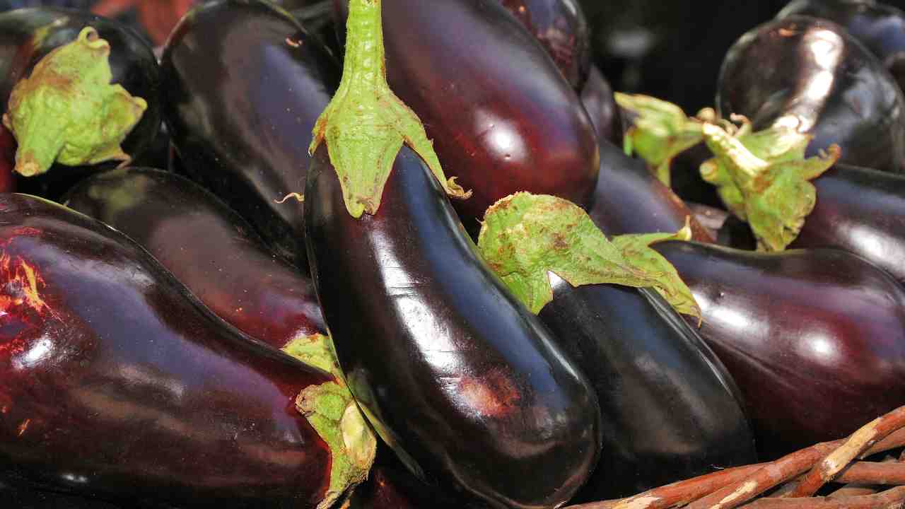 mangiare melanzana cruda