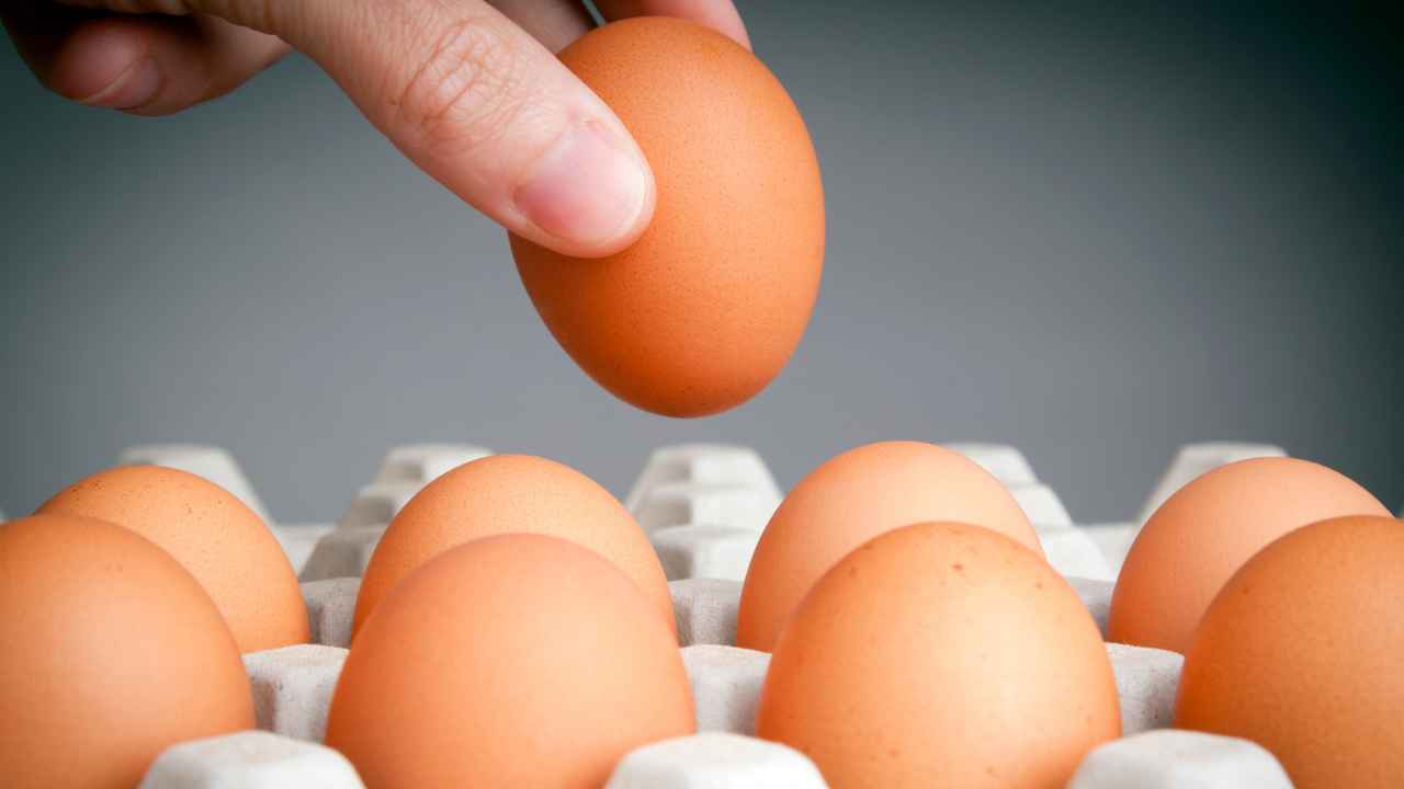 Eggs, the secret to understanding whether they are fresh lies in the “separation”: this is how you protect your health and the health of your loved ones