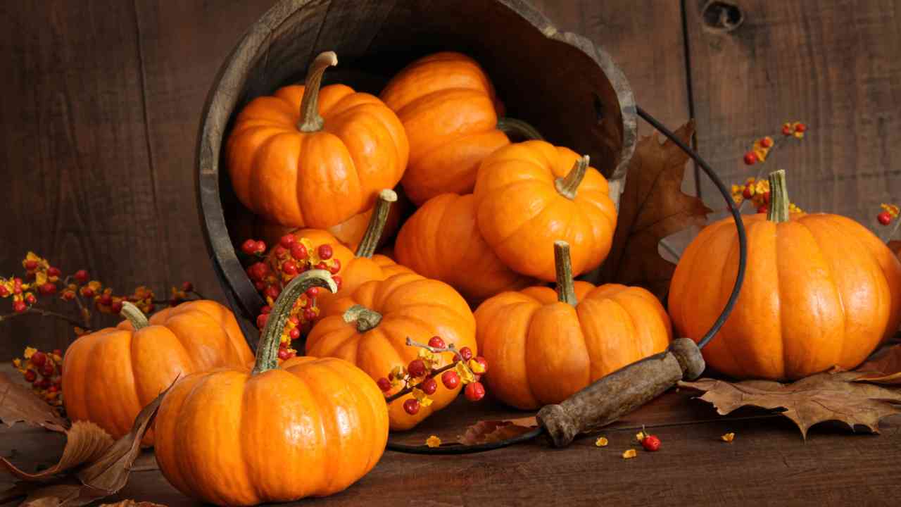 mangiare troppa zucca