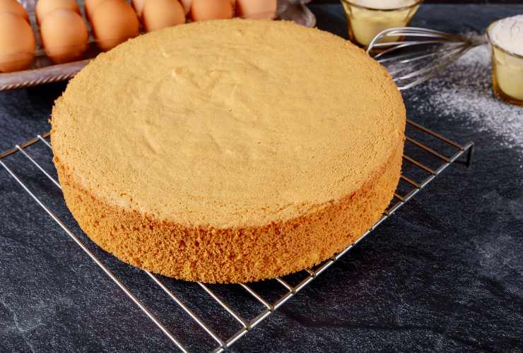 Il Pan di Spagna perfetto secondo chef Foglia