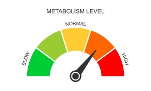 metabolismo lento