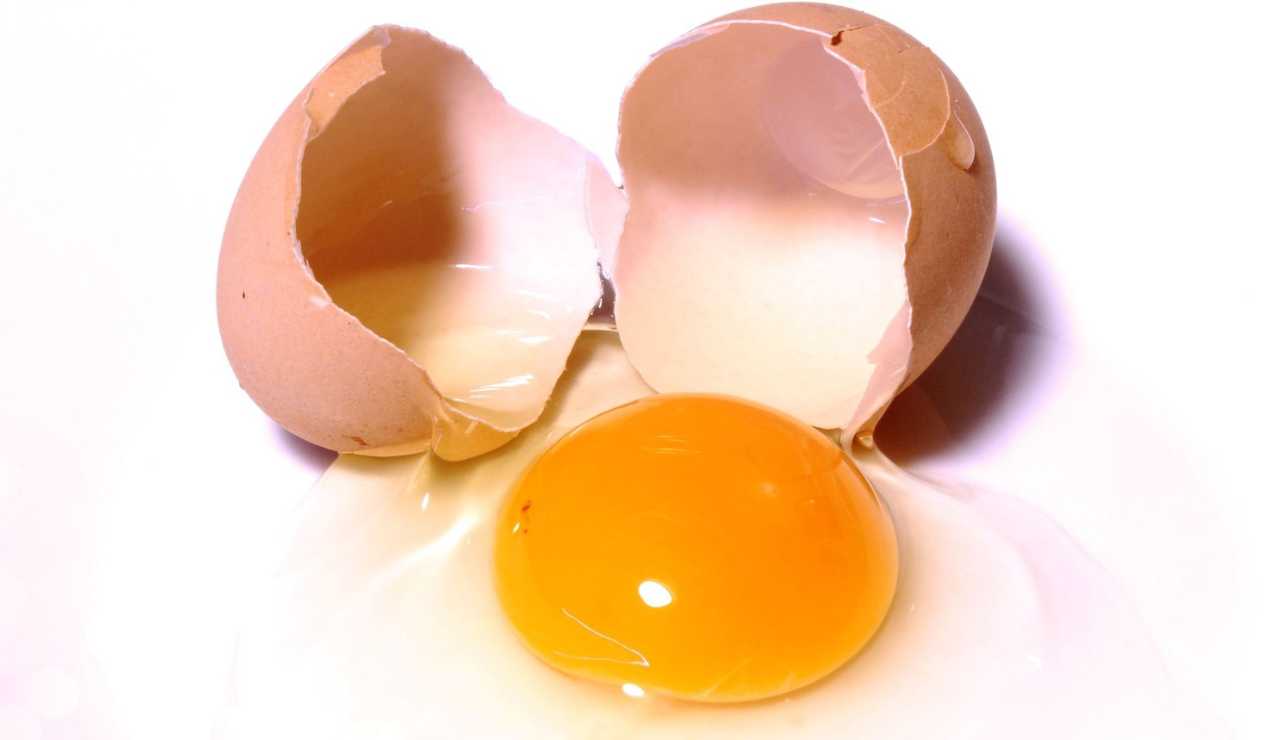 Eggs, be careful how you eat them: if you make this serious mistake your body will suffer quite a bit