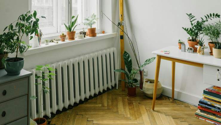 Le tecniche per pulire i termosifoni - iFood.it - 20241211