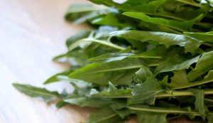 Erbette di primavera come mangiarle - iFood.it (Fonte foto Canva)