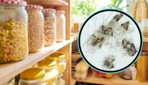 Farfalle in dispensa come fare - iFood.it (Fonte foto Canva)