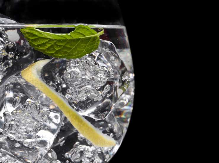 Ricetta Gin Tonic - iFood.it (Fonte foto Canva)