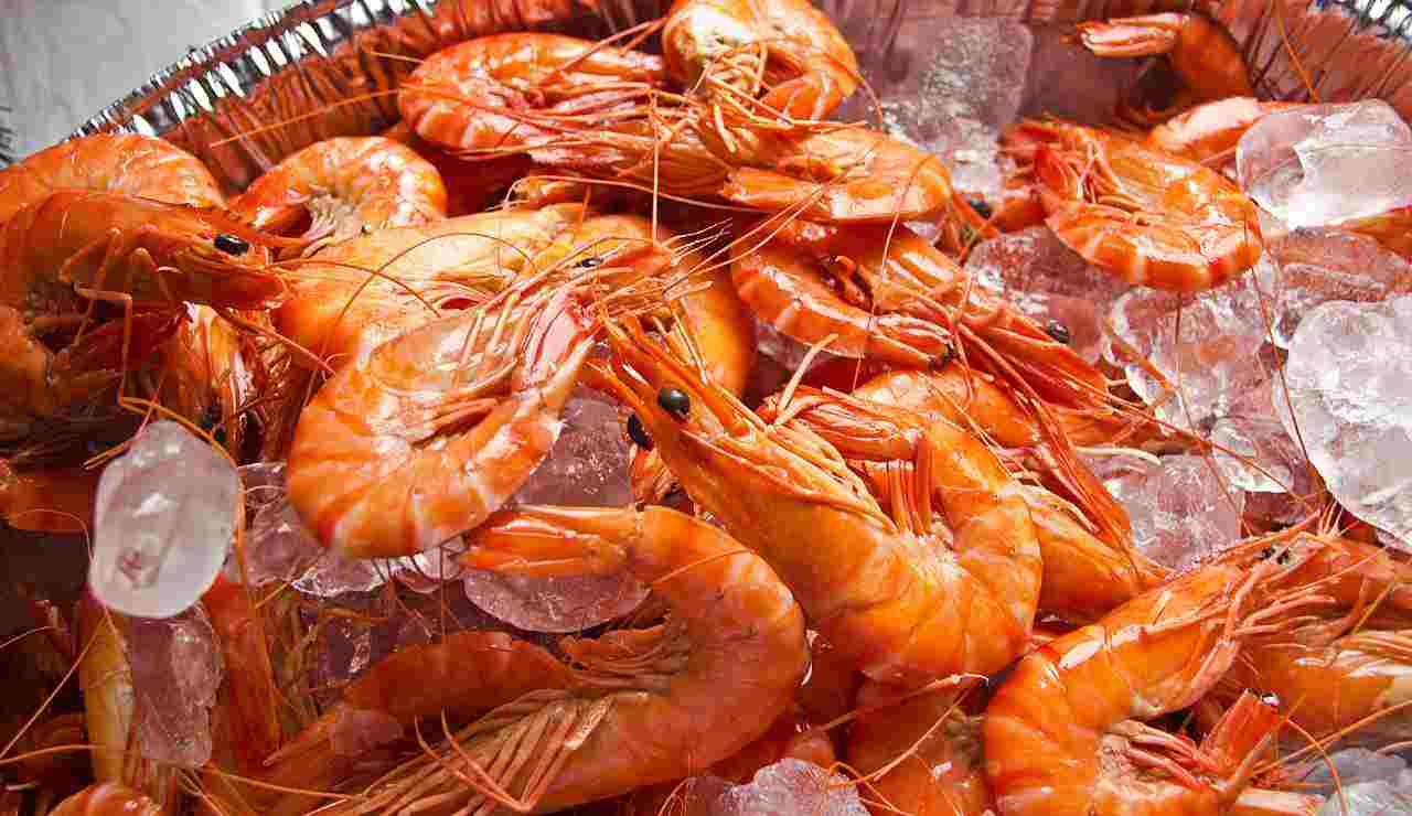Gamberoni surgelati sigle L- iFood.it (Fonte foto Canva)