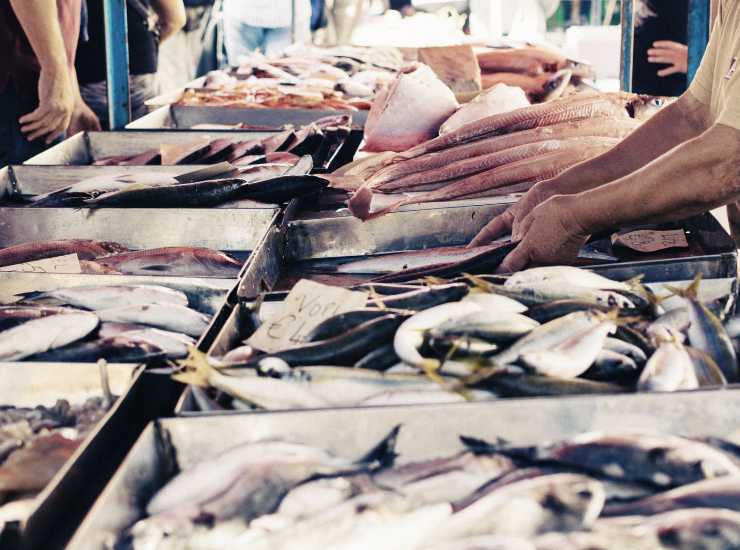 Pesce fresco come riconoscerlo - iFood.it (Fonte Foto Canva)