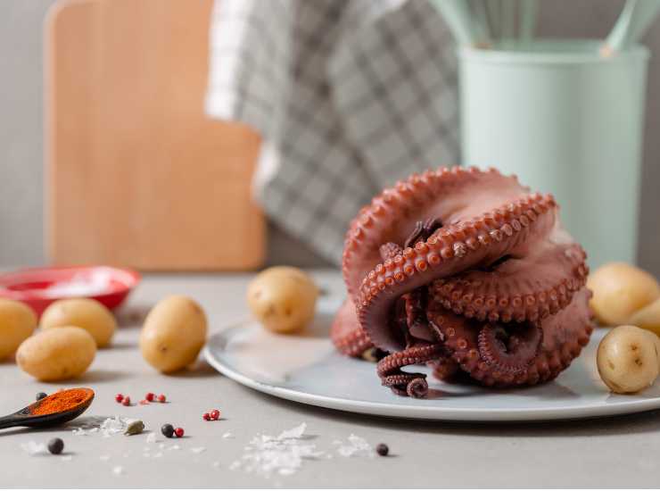 Polpo con patate - iFood.it (fonte foto Canva)