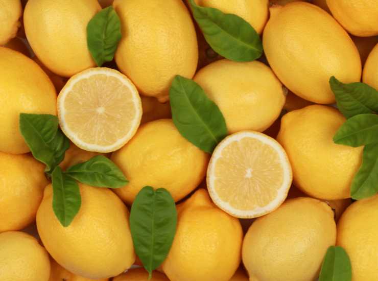Foglie di limone come usarle in cucina - iFood.it (Fonte foto Canva)