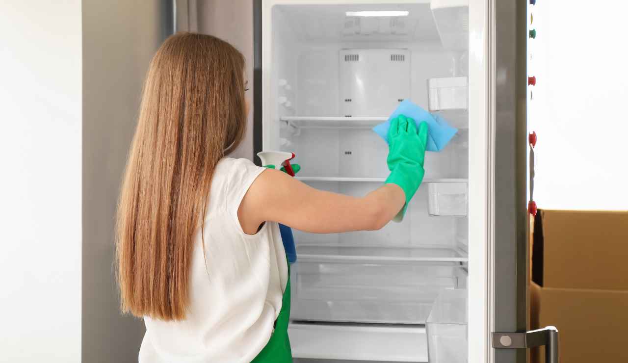 Frigo pieno d'acqua usa cotton fiocc - iFood.it (Fonte foto Canva)