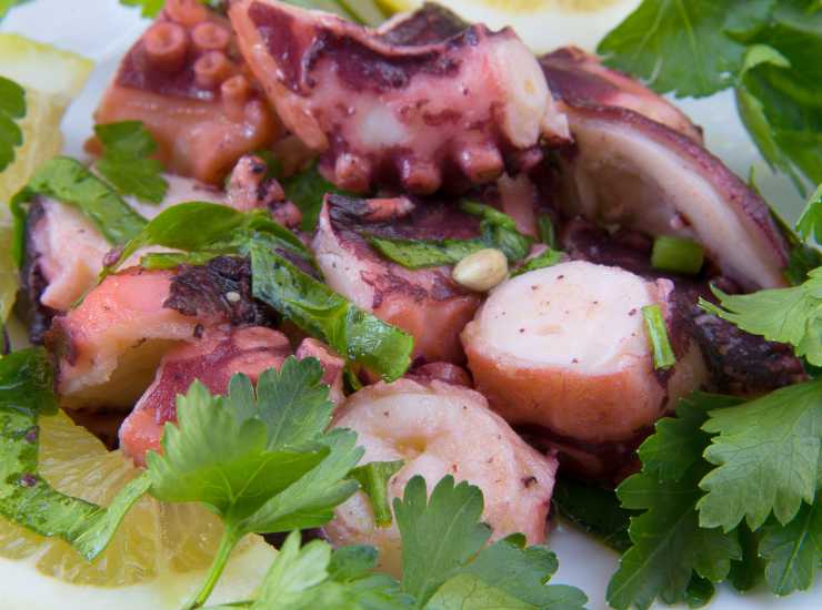 Insalata di polipo - iFood.it (Fonte foto Canva)