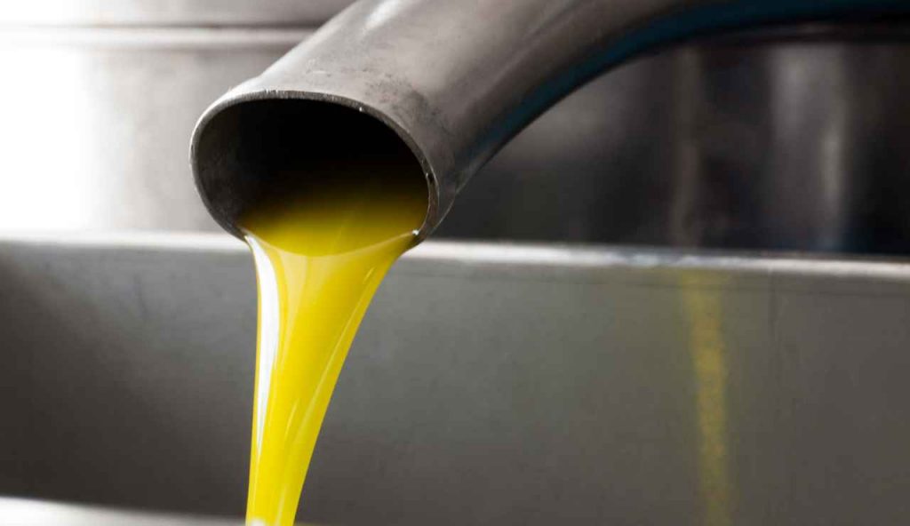 Piemonte produttore di olio extravergine di oliva - iFood.it (Fonte foto Canva)